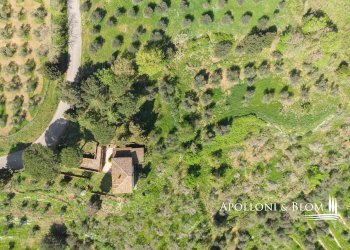 Rustico Via Nuova, 13, Sinalunga - foto 11