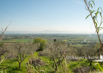 Rustico Via Nuova, 13, Sinalunga - foto 40