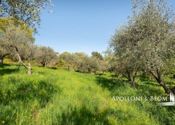 Rustico Via Nuova, 13, Sinalunga - foto 42