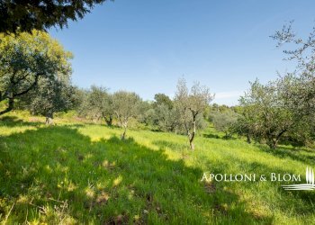 Rustico Via Nuova, 13, Sinalunga - foto 44