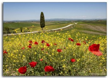 Rustic Radicofani, Radicofani - photo 13