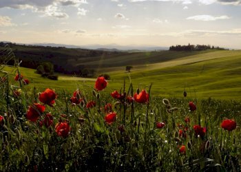 Rustic Radicofani, Radicofani - photo 14