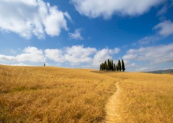Rustic Radicofani, Radicofani - photo 15