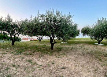 Foto 26 - Villa Fossacesia - photo 26