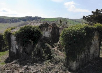 Rustic Radicofani - photo 4