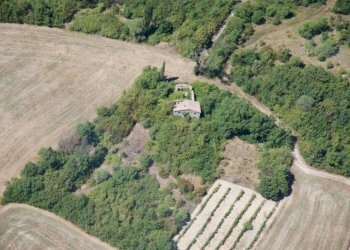 Rustic Radicofani - photo 9