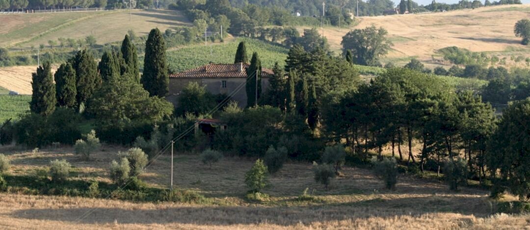 Rustic Torrita di Siena - photo 3