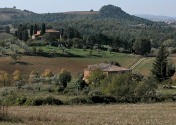 Rustic Torrita di Siena - photo 2