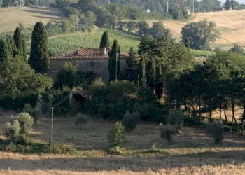 Rustic Torrita di Siena - photo 3