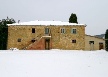 Rustic Torrita di Siena - photo 5