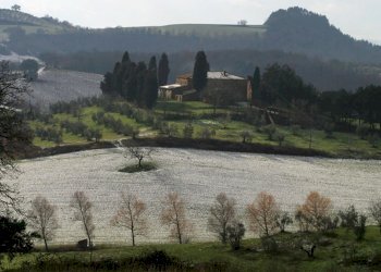 Rustic Torrita di Siena - photo 6