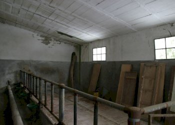 Rustic Torrita di Siena - photo 8