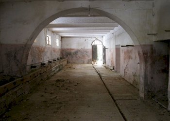 Rustic Torrita di Siena - photo 10