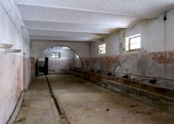 Rustic Torrita di Siena - photo 11