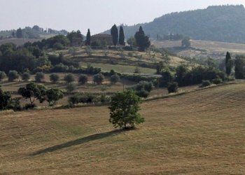 Rustic Torrita di Siena - photo 12