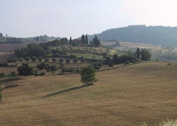 Rustic Torrita di Siena - photo 13
