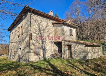 Foto 1 - Rustico Santa Fiora - foto 1