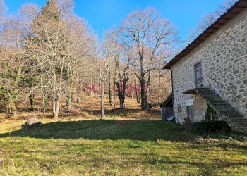 Foto 7 - Rustico Santa Fiora - foto 7