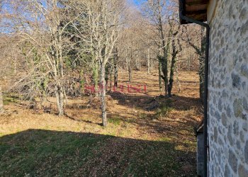 Foto 8 - Rustico Santa Fiora - foto 8