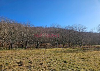 Foto 11 - Rustico Santa Fiora - foto 11