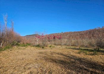 Foto 13 - Rustico Santa Fiora - foto 13