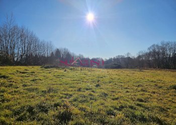 Foto 14 - Rustico Santa Fiora - foto 14