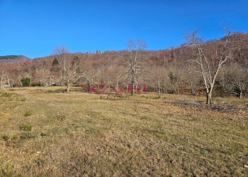 Foto 15 - Rustico Santa Fiora - foto 15