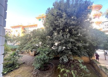 Quadrilocale Via Gaetano Donizetti, Roma - foto 27