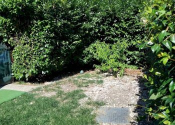 Appartamento Aulla - foto 14