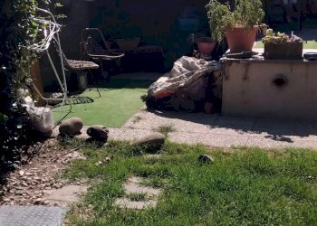 Appartamento Aulla - foto 15