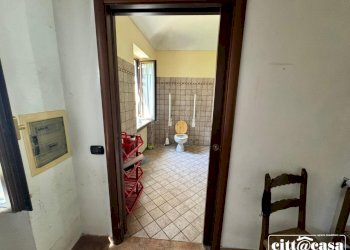 Casale Brusasco - foto 13