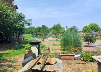 Semi-detached house Brescello, Brescello - photo 14