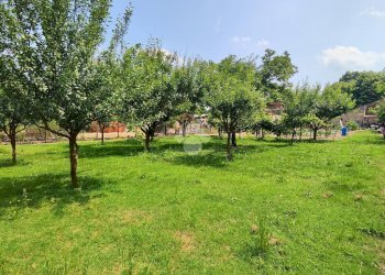 Semi-detached house Brescello, Brescello - photo 17