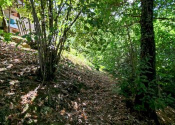 Casa semi indipendente via della chioma, 12, Martiniana Po - foto 34