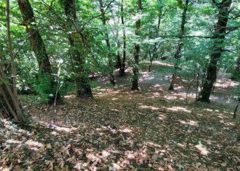 Casa semi indipendente via della chioma, 12, Martiniana Po - foto 35