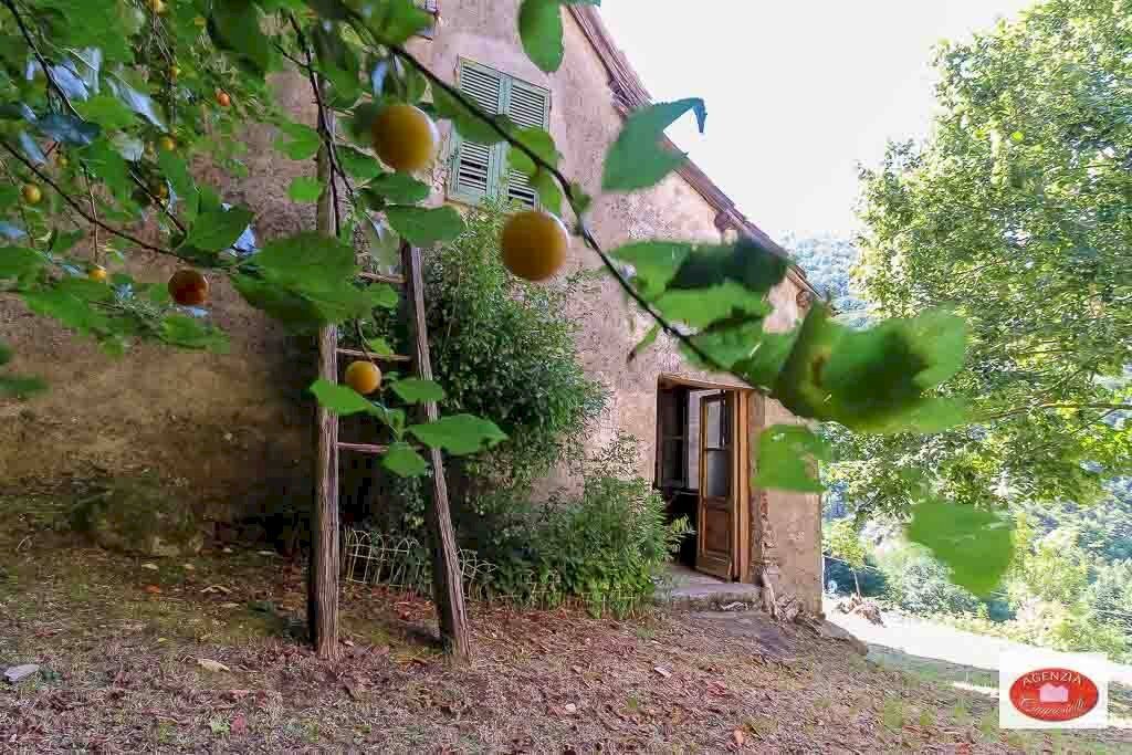 La casa lato Ovest - Rustico Via Davide Vignolo
 
38, Pontinvrea - foto 1