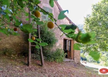 La casa lato Ovest - Rustico Via Davide Vignolo
 
38, Pontinvrea - foto 1