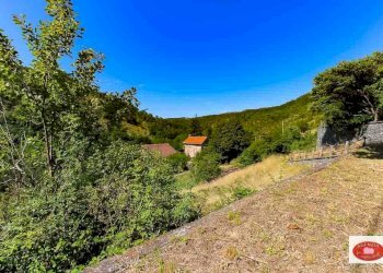 Il terreno pertinenziale - Rustico Via Davide Vignolo
 
38, Pontinvrea - foto 8