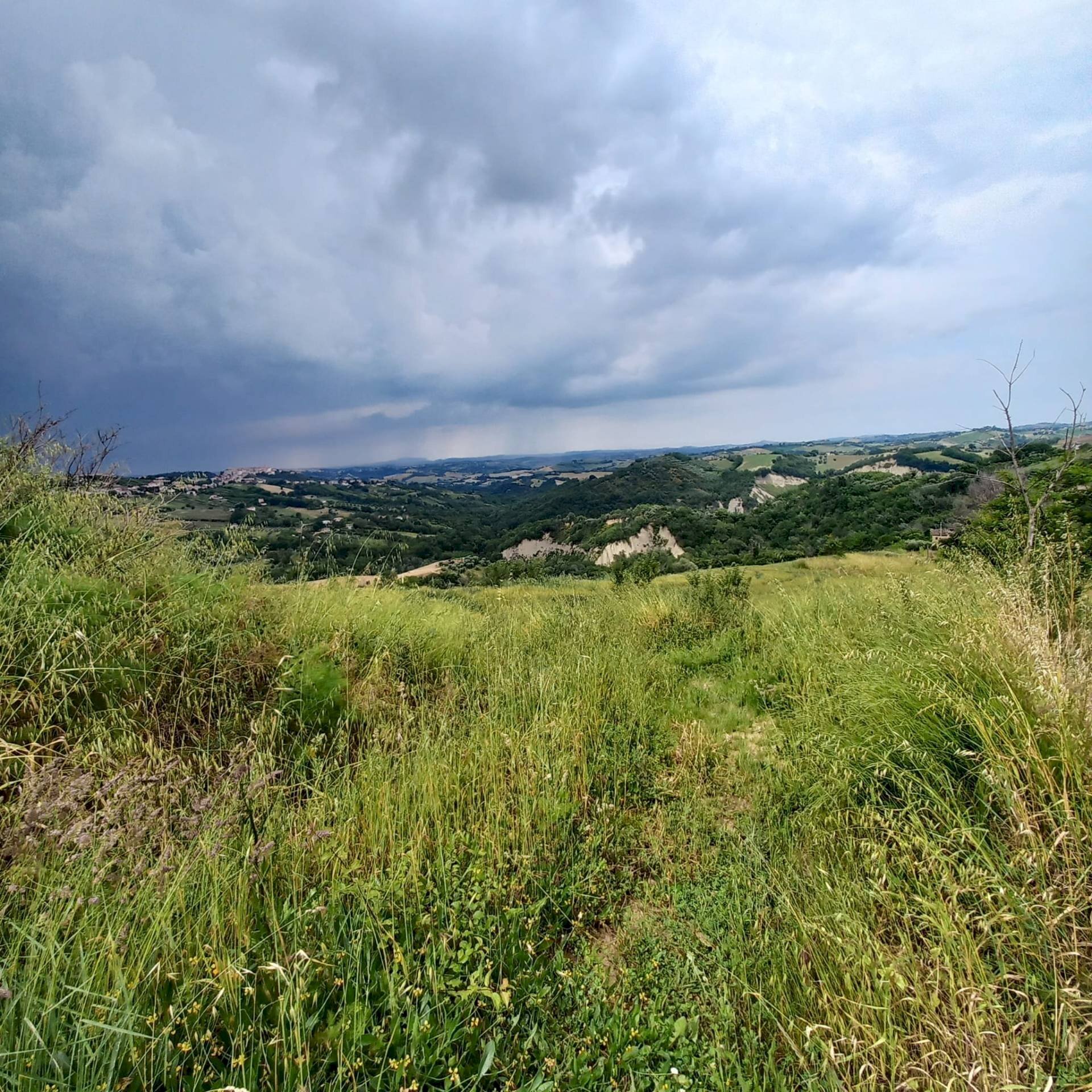 Foto 2 - Terreno agricolo Via Larciano
1, Monte Vidon Corrado - foto 2