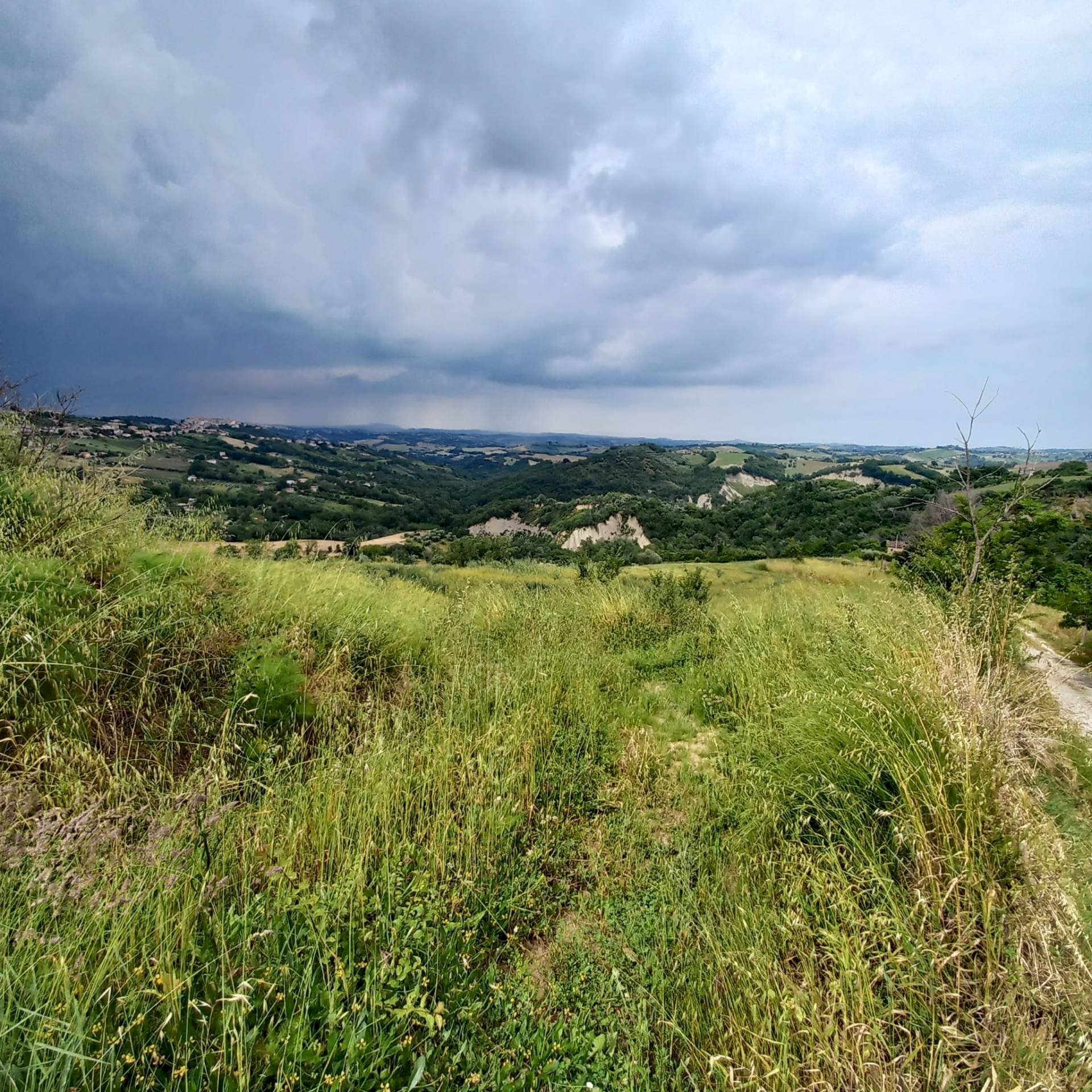 Foto 3 - Terreno agricolo Via Larciano
1, Monte Vidon Corrado - foto 3