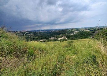 Foto 2 - Terreno agricolo Via Larciano
1, Monte Vidon Corrado - foto 2