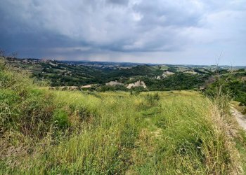 Foto 3 - Terreno agricolo Via Larciano
1, Monte Vidon Corrado - foto 3