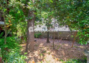 Foto 24 - Villa Via Settembrini
 
10, Corbetta - foto 24