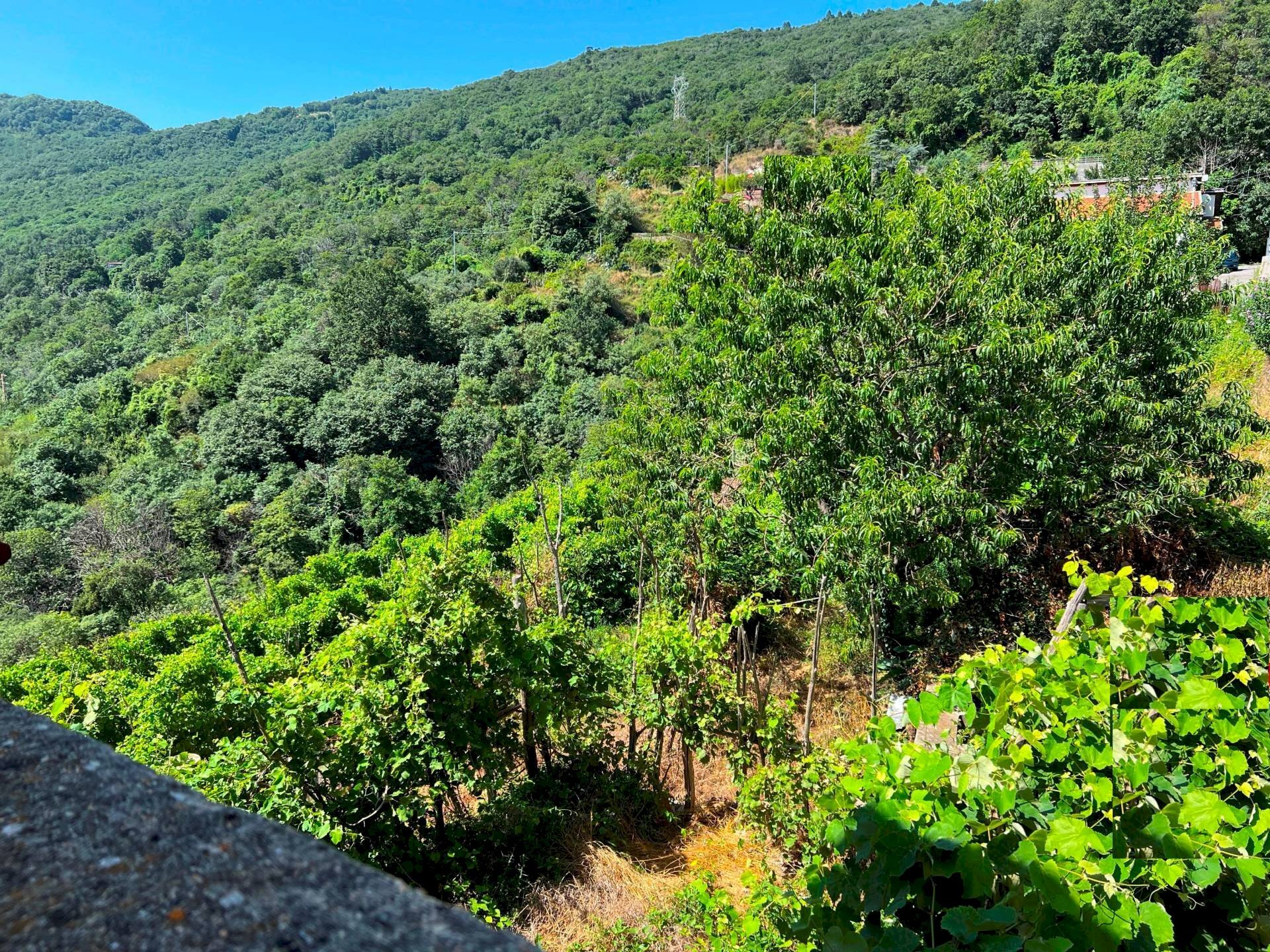 Foto 3 - Rustic Vezzi Portio - photo 3