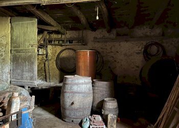 Foto 19 - Rustico Vezzi Portio - foto 19