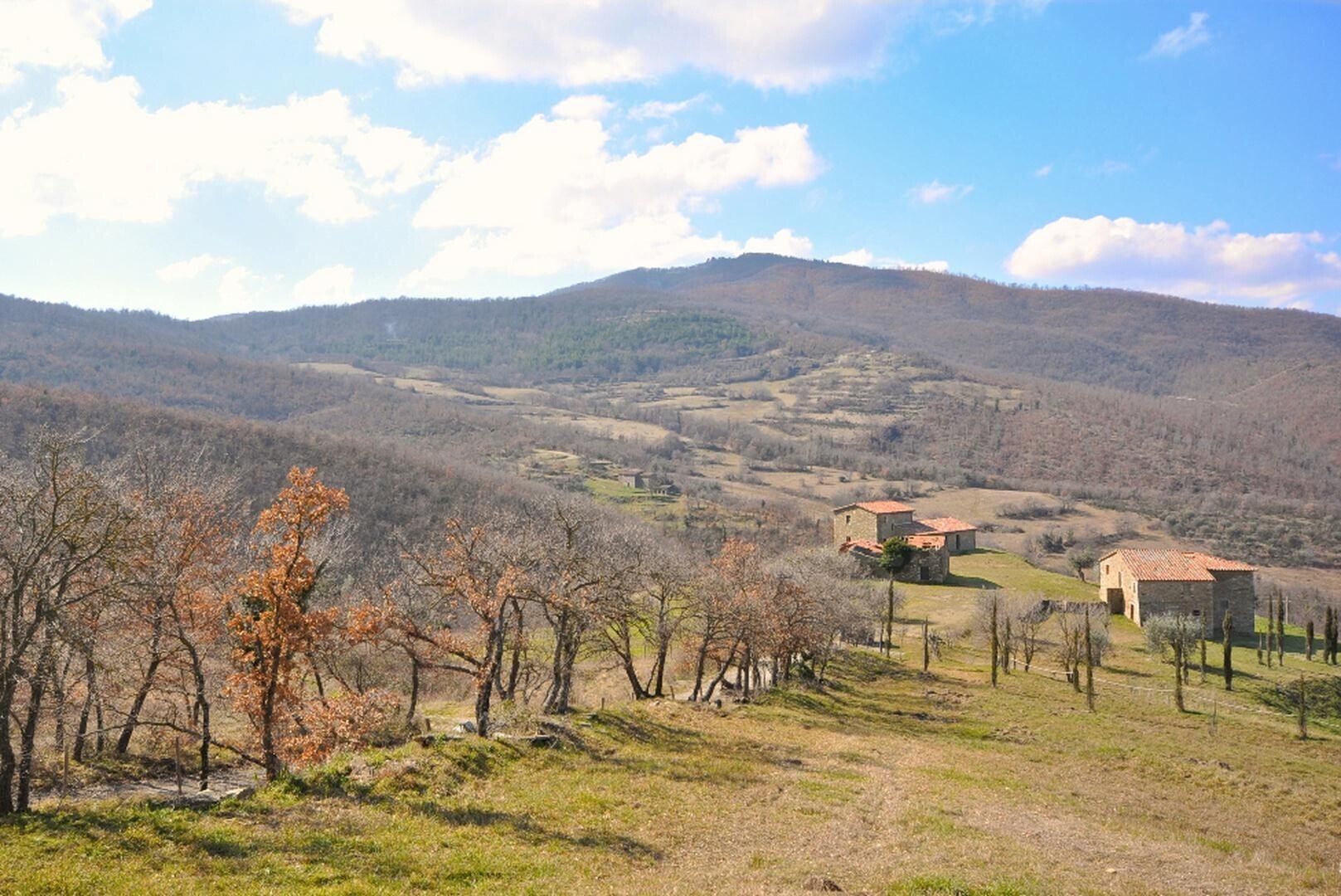 Rustico Piegaro - foto 3