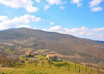 Rustico Piegaro - foto 4