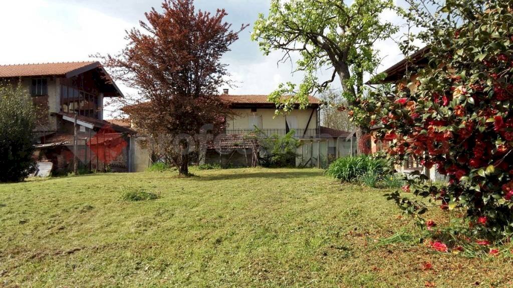 Terreno - Rustic via dorbiè superiore, Castelletto Sopra Ticino - photo 3