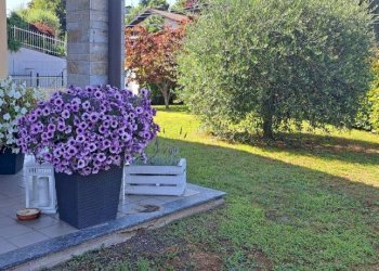 Giardino - Villa via san marcello, Paruzzaro - foto 7