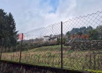 Terreno - Terreno agricolo via madonna delle crocette, Arona - foto 6